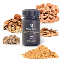 Load image into Gallery viewer, Immunity Blend Mushroom Powder
